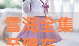 雪海全集在线观看,穿越冰雪世界的浪漫传奇